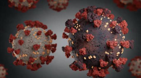 Detalle de un coronavirus. Detalle de un coronavirus.
