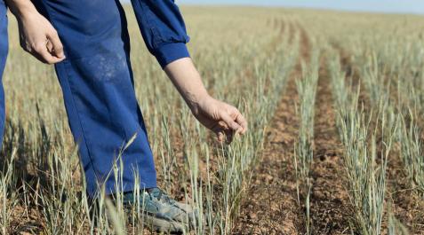 312 perceptores de ayudas PAC en Navarra ingresan más de 50.000 euros 312 perceptores de ayudas PAC en Navarra ingresan más de 50.000 euros