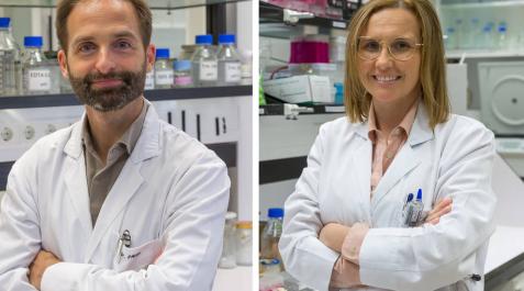 Los doctores Bruno Paiva y María Rodríguez. Los doctores Bruno Paiva y María Rodríguez.