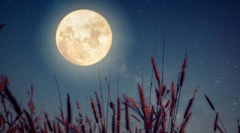 Superluna de las Flores Superluna de las Flores