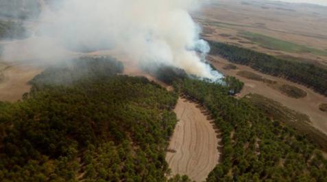 Bomberos trabajan en la extinción de un incendio forestal en Tafalla