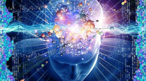 Viajar, un 'combustible' para el cerebro