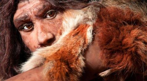 Nuestra huella genética neandertal influye en el sueño, el humor… y en cómo nos afecta la covid Nuestra huella genética neandertal influye en el sueño, el humor… y en cómo nos afecta la covid