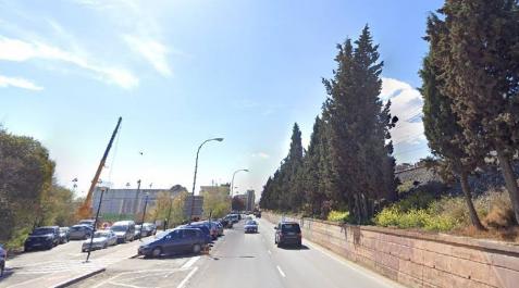 La segunda fase del Paseo de Pamplona, en Tudela, comenzará el 14 de junio La segunda fase del Paseo de Pamplona, en Tudela, comenzará el 14 de junio