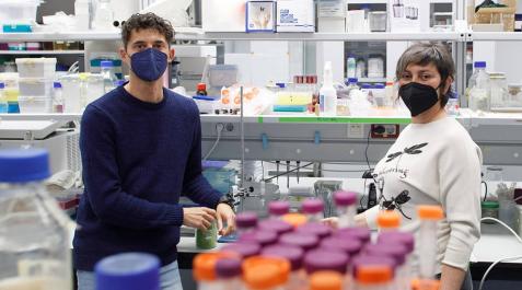 Dos investigadores de la UPNA plantean usar bacterias contra la polilla del boj