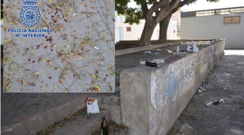 Detenidos 14 jóvenes por una riña tumultuaria durante un botellón