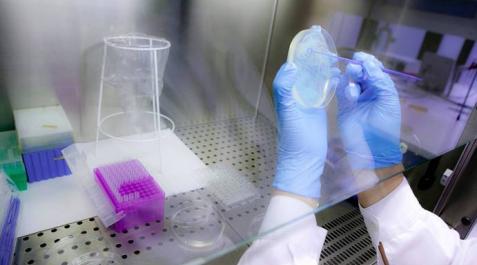 Navarra invierte unos 23 millones para la investigación tras la covid