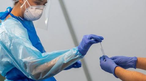 coronavirusLos contagios en Navarra han descendido en los últimos tres días. Los contagios en Navarra han descendido en los últimos tres días.