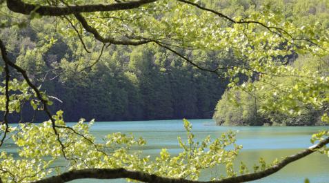 Selva de Irati_Francis Vaquero_Turismo de Navarra El embalse de Irabia es uno de los rincones más buscados dentro de la enorme masa forestal de la Selva de Irati.