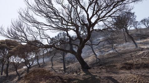 Incendio Bardenas Incendio Bardenas