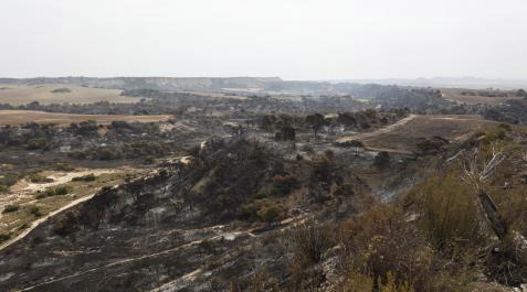 Vista general de la zona del incendio declarado en el Vedado de Eguaras (en la imagen), en el Parque Natural de Bardenas Reales. Vista general de la zona del incendio declarado en el Vedado de Eguaras (en la imagen), en el Parque Natural de Bardenas Reales
