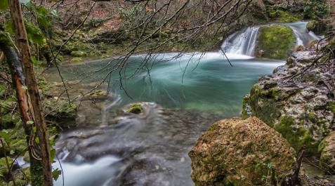 Reserva natural del Nacedero del Urederra Reserva natural del Nacedero del Urederra