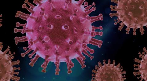 Virus covid-19 Virus covid-19.