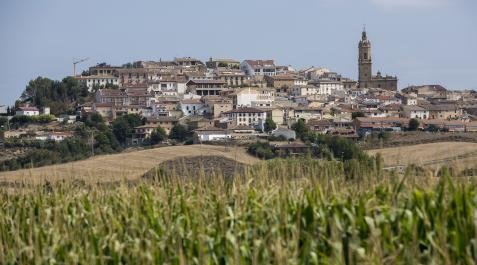 Mendigorría y mirar al futuro Mendigorría es un municipio situado en la merindad de Olite, en la comarca de Tafalla y a 29 km de Pamplona