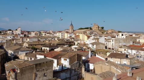 Vista general de la localidad ribera de Cascante, con la parroquia de Nuestra Asunción y la basílica y el parque del Romero al fondo Vista general de la localidad ribera de Cascante, con la parroquia de Nuestra Asunción y la basílica y el parque del Romero al fondo