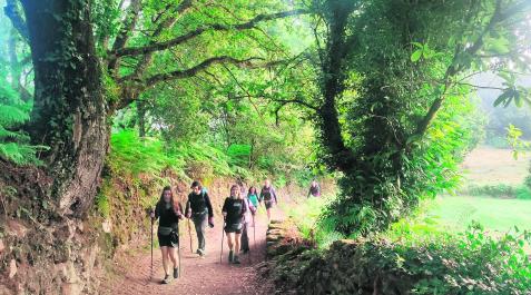 La promesa de la ‘compostela’ con apenas 100 kilómetros recorridos convierte el último tramo en una romería y cada cama, en un tesoro La promesa de la ‘compostela’ con apenas 100 kilómetros recorridos convierte el último tramo en una romería y cada cama, en un tesoro
