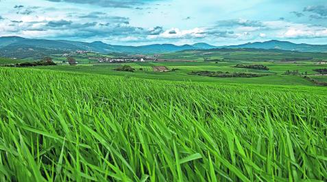Imagen de archivo de los campos de cereal del valle de Yerri con la capital, Arizala, entre los pueblos que se divisan al fondo Imagen de archivo de los campos de cereal del valle de Yerri con la capital, Arizala, entre los pueblos que se divisan al fondo