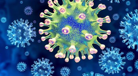 Coronavirus Coronavirus