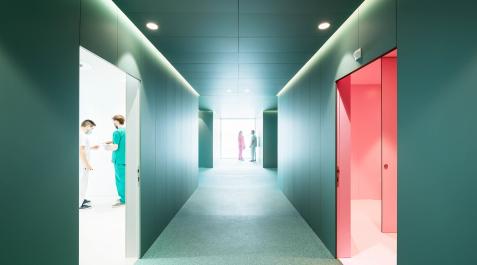 CHN Paredes de verde sanitario en el pabellón de alergología del CHN, en el edificio de Urgencias
