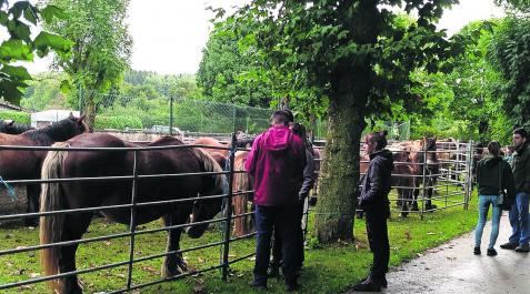 El paraje de Kuatropea vio recuperada la feria de septiembre de Burguete este domingo El paraje de Kuatropea vio recuperada la feria de septiembre de Burguete este domingo
