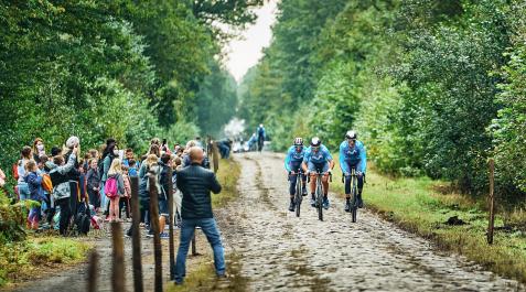 Ciclismo Los corredores del Movistar Team el jueves por la mañana atravesando el Bosque de Aremberg