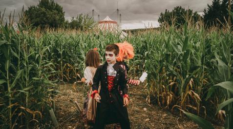 Sendaviva Sendaviva, una oportunidad disfrutar de Halloween en familia
