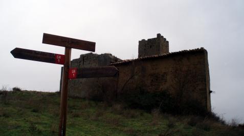 El accidente se produjo justo en el límite de Zaragoza con Navarra, en la zona de Torre Añué (en la imagen), dentro del coto de Sos del Rey Católico, en la comarca de Cinco Villas El accidente se produjo justo en el límite de Zaragoza con Navarra, en la zona de Torre Añué (en la imagen), dentro del coto de Sos del Rey Católico, en la comarca de Cinco Villas