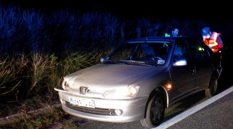 Imagen del estado en el que quedó un vehículo tras atropellar a un jabalí esta noche Imagen del estado en el que quedó un vehículo tras atropellar a un jabalí esta noche