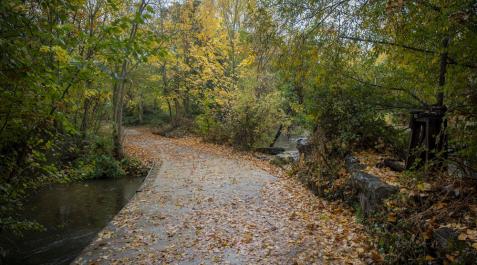 Paseo Fluvial de la Comarca en Berroa El nuevo tramo discurre por la margen izquierda del río Arga