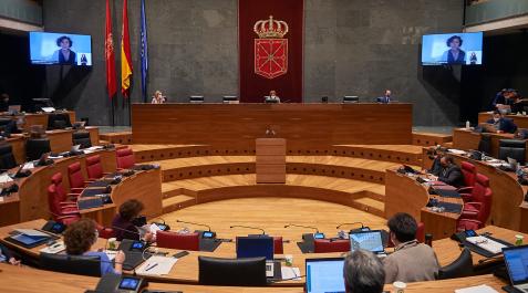 pleno Parlamento de Navarra pleno Parlamento de Navarra