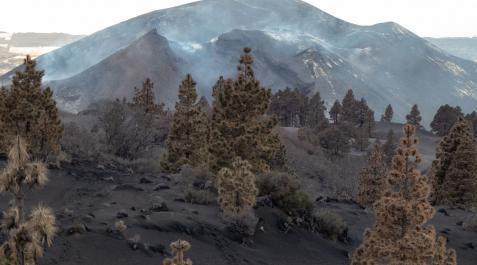 volcán la palma La erupción de La Palma cumple este domingo tres meses, en los últimos día sin actividad