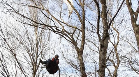 Parapente El parapentista, enredado en las ramas