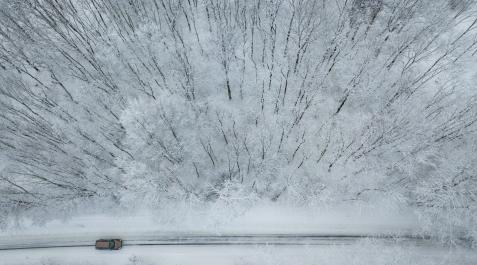 nieve seguro nieve seguro