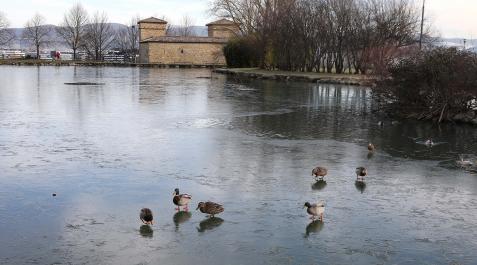 Imagen del año pasado, cuando el lago de Mendillorri se congeló Imagen del año pasado, cuando el lago de Mendillorri se congeló