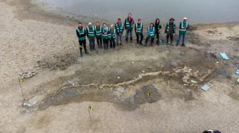Paleontólogos que trabajan en el esqueleto de ictiosaurio encontrado en Rutland Water Paleontólogos que trabajan en el esqueleto de ictiosaurio encontrado en Rutland Water