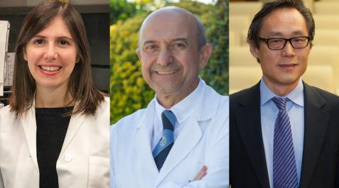 Los investigadores Marta Guasch-Ferré, Miguel Ángel Martínez-González y Frank Hu. Los investigadores Marta Guasch-Ferré, Miguel Ángel Martínez-González y Frank Hu.