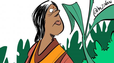 Janaki Ammal, en una ilustración Janaki Ammal, en una ilustración