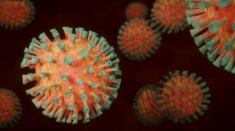 CSIC identifica un tipo de vidrio y una arcilla capaz de reducir la infectividad viral más del 99% en diez minutos CSIC identifica un tipo de vidrio y una arcilla capaz de reducir la infectividad viral más del 99% en diez minutos