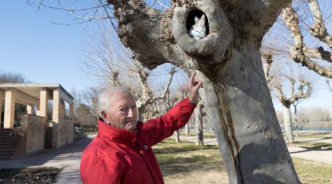 César Ridruejo muestra los daños en la pintura de la parte inferior del gato que realizó en uno de los árboles del paseo del Prado César Ridruejo muestra los daños en la pintura de la parte inferior del gato que realizó en uno de los árboles del paseo del Prado