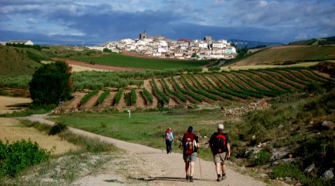 Correos elige una panorámica de Cirauqui para promocionar el Camino de Santiago Correos elige una panorámica de Cirauqui para promocionar el Camino de Santiago
CORREOS
25/01/2022