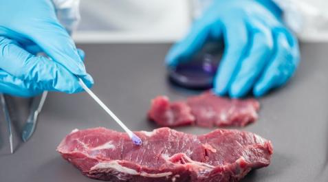 Imagen de carne Imagen de carne