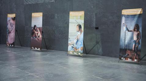 Parlamento acoge una exposición que busca visibilizar la fibrosis quística Parlamento acoge una exposición que busca visibilizar la fibrosis quística