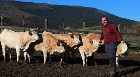 Javier Iráizoz Ibarrola, junto a novillas de raza pirenaica en Azoz