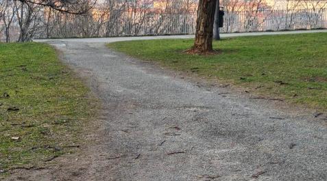 La zona de paso de la Taconera La zona de paso de la Taconera
