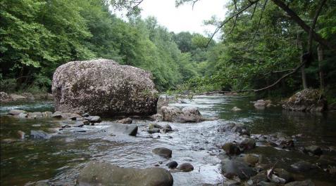 Imagen del río Bidasoa, al que desembocan regatas que abastecen la central eléctrica de Arantza Imagen del río Bidasoa, al que desembocan regatas que abastecen la central eléctrica de Arantza