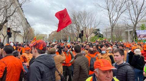 El campo navarro participa en la manifestación por el futuro del mundo rural en Madrid.