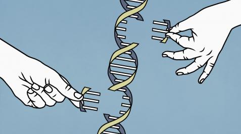 Más de la mitad del genoma humano contiene secuencias repetitivas de ADN cuyas funciones aún no se conocen del todo. Más de la mitad del genoma humano contiene secuencias repetitivas de ADN cuyas funciones aún no se conocen del todo.