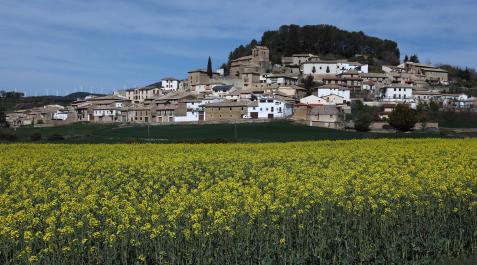 Vista general de la localidad de Eslava en una mañana primaveral en la que florecen los cultivos Vista general de la localidad de Eslava en una mañana primaveral en la que florecen los cultivos