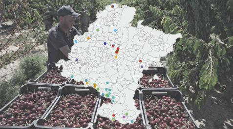 Especial agroalimentacion Ubicación de las 50 mayores empresas agroalimentarias de Navarra
