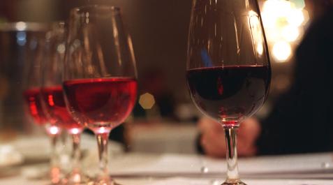 vino El vino,